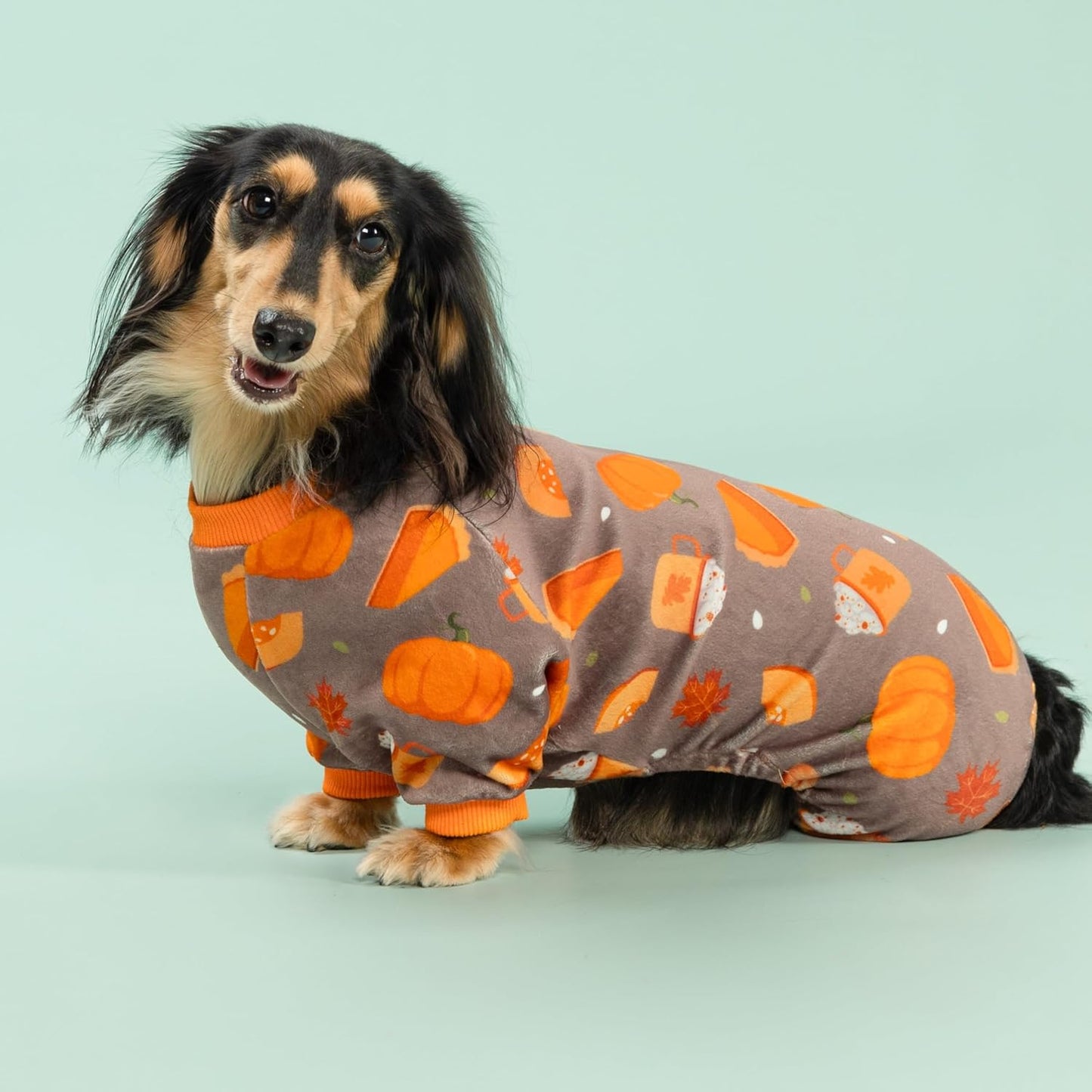 Fitwarm Pumpkin Dog Pajamas, Thanksgiving Outfit for Small Dogs Boy Girl, Pet Onesie, Brown, Orange, Large
