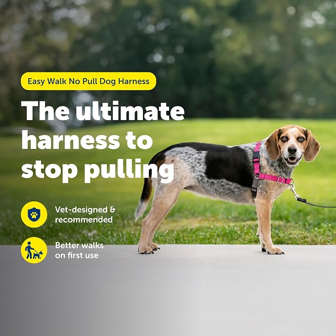 PetSafe Easy Walk Harness, No Pull Dog Harness, Raspberry, Small/Medium | Patented Martingale Loop Gives Gradual Shoulder Pressure to Stop Pulling, Front-Chest Leash Clip Prevents Gagging