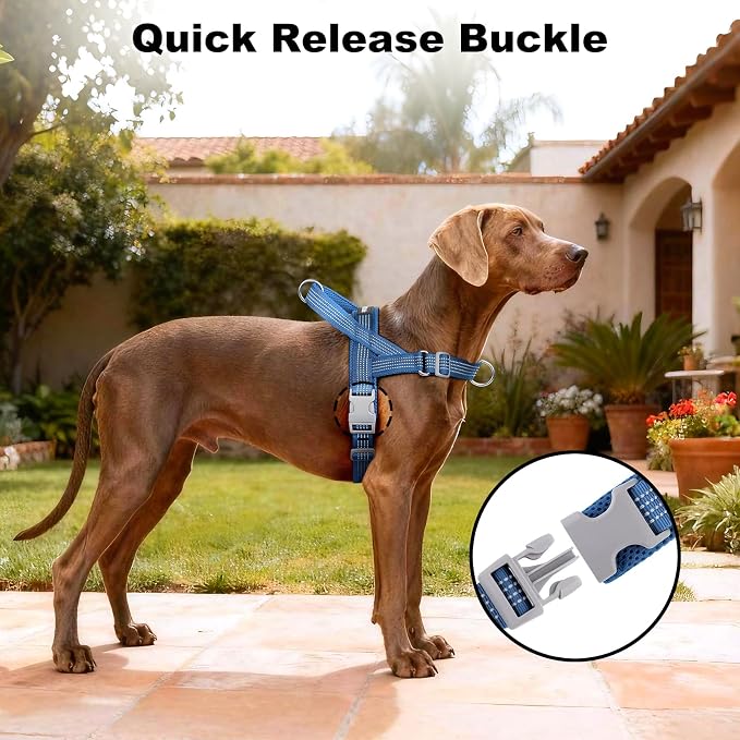 No Pull Dog Harness with Handle, Adjustable Soft Mesh Padded Vest | Reflective Walking Harness with Front Clip for Small Medium Large Dogs, Quick Fit No Escape for Training, Blue, XL