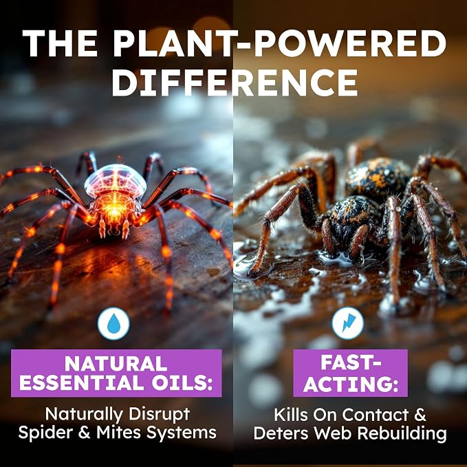 BugMD Pet Safe Spider Repellent Indoor & Outdoor Spray | Natural Spider & Mite Killer with Peppermint Oil to Create a Pest-Free Home - 16oz