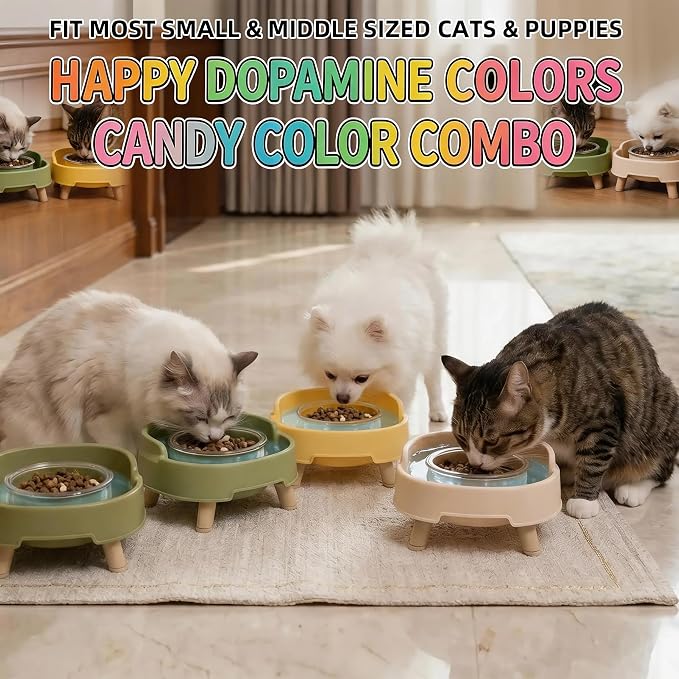 2 Pack Ant Not Cross Elevated Cat Bowls Mess Proof-4 Food Grade Glass Bowls & 2 Lids- No Spill Cat Food and Water Feeding Station for Cats&Puppy Indoor & Outdoor,No Whisker Fatigue Dish