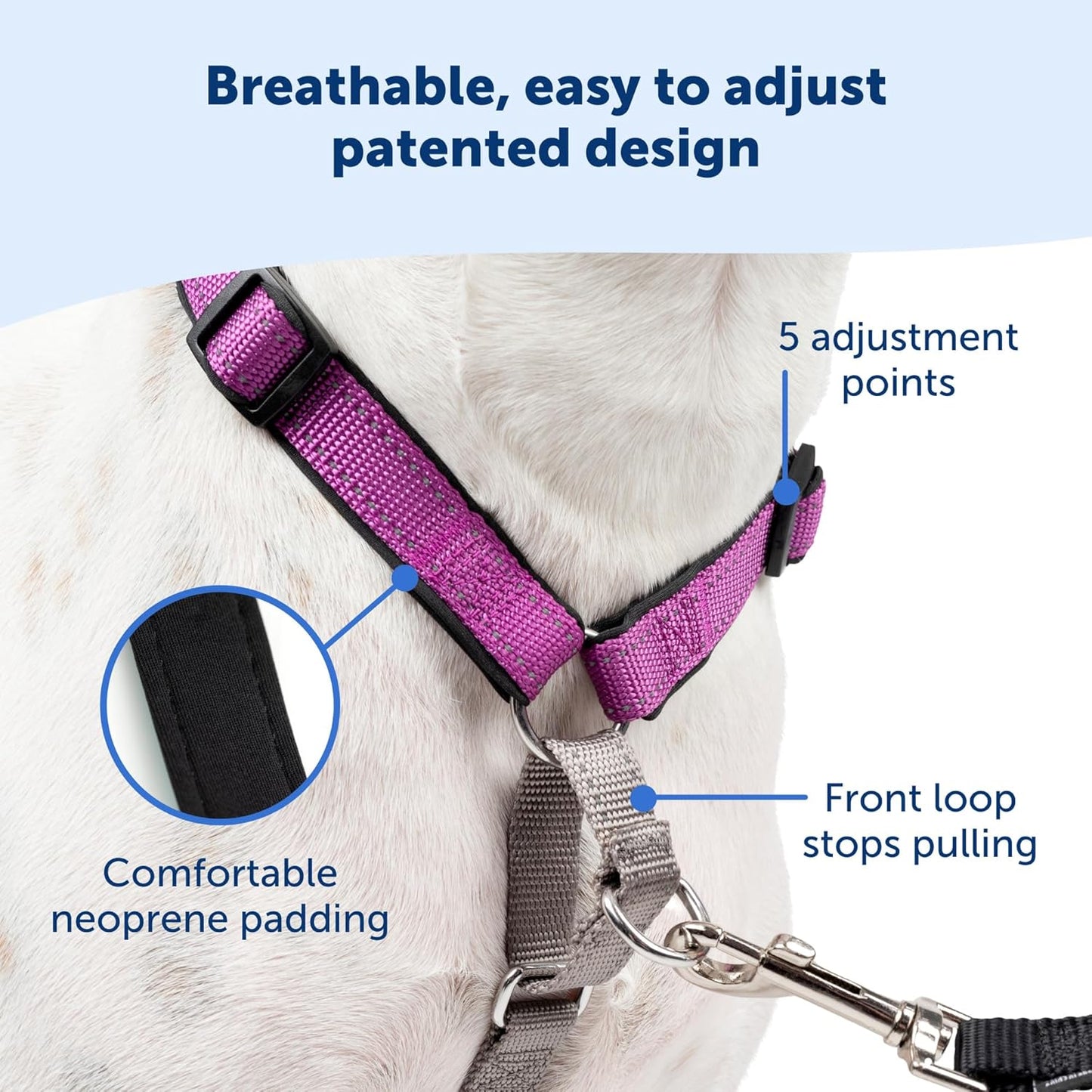 PetSafe 3 in 1 Dog Harness - No Pull Solution for Dogs - Reflective Dog Harness - Front D-Ring Clip Helps Stop Pulling - Comfortable Padded Straps - Top Handle Enhances Control - Black - Extra Small