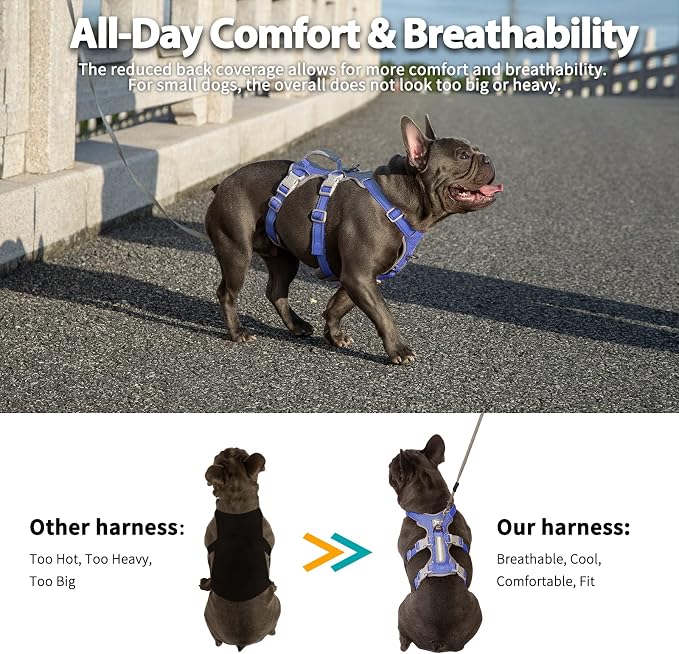 Escape Proof Harness, No Slip Dog Harness Escape Proof,Fully Reflective Harness with Handle, Breathable,Durable, Adjustable Vest for Medium Dogs Walking,Training,and Running Gear(Vista Blue,M)