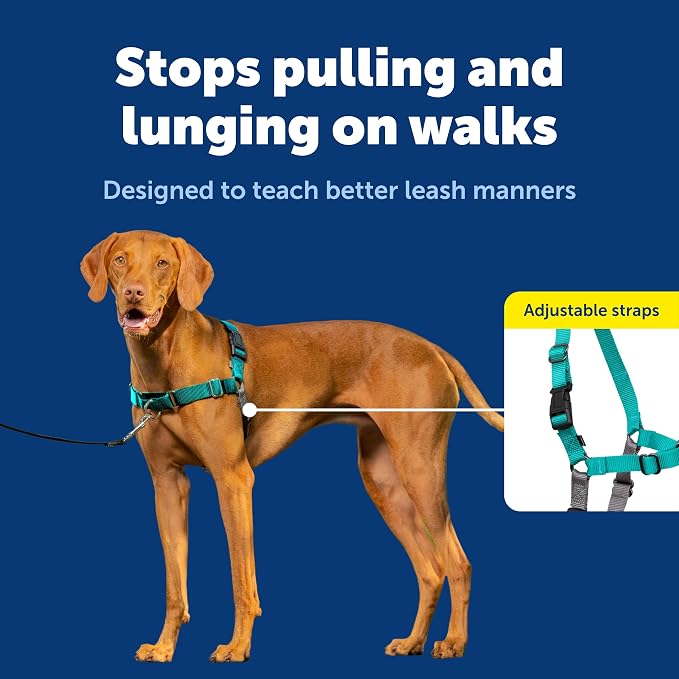 PetSafe Easy Walk Harness, No Pull Dog Harness, Teal, Medium | Patented Martingale Loop Gives Gradual Shoulder Pressure to Stop Pulling, Front-Chest Leash Clip Prevents Gagging