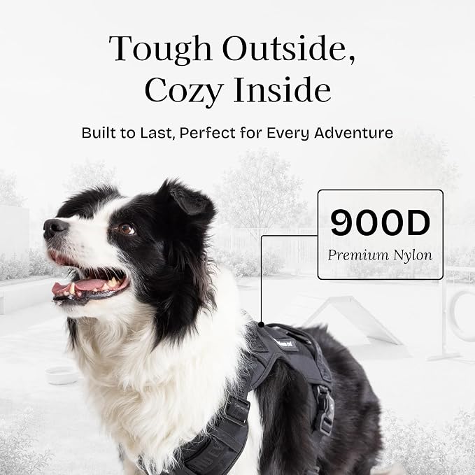 Fei & Eve Classic Dog Harness, MagEase Magnetic Buckle | 3-Point No-Pull Control, Dual Handle Support, 900D Nylon, Tactical Patch Panel, Heavy Duty, Small, Black