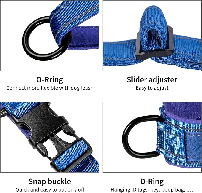 Annchwool No Pull Dog Harness with Padded Handle+5 Ft Leash,Reflective Strip Escape Proof and Quick Fit to Adjust Dog Harness,Easy for Training Walking for Small & Medium and Large Dogs(Blue-Set,S)