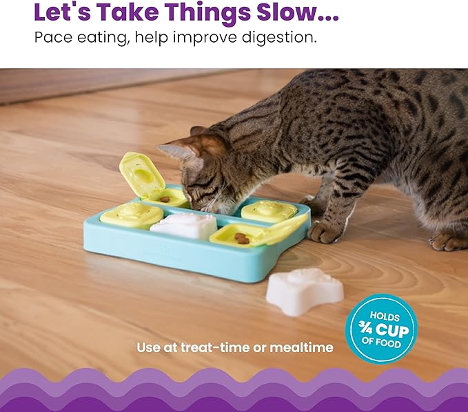 Catstages Kitty Cube Interactive Treat Puzzle Cat Toy, Blue (Pack of 12)