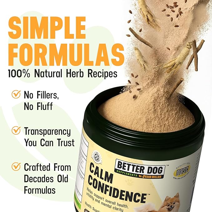 Better Dog Supplements Calm Confidence by Cesar Millan – Natural Cognitive & Brain Support for Dogs – Focus, Energy & Vitality with Ashwagandha, Panax Ginseng & Herbs – 4oz, (60-Day Supply)