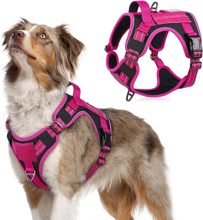 rabbitgoo Tactical Dog Harness for Medium, No Pull Military Service Vest | Molle & Handle, Heavy Duty, Adjustable, Reflective Straps, Easy Control for Training Walking, Black & Rose Red, Medium