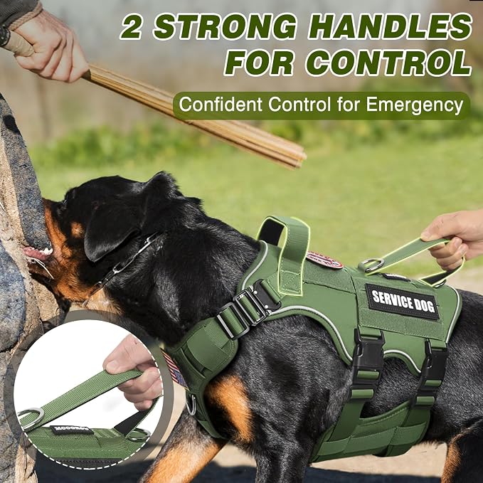 Service Dog in Training Vest and Leash Set+10 Patches,Escape Proof | Heavy Duty Tactical Dog Harness with Metal Buckles for Large Sized Dogs,No Pull Front Back Clips,for Training Hiking,Green L