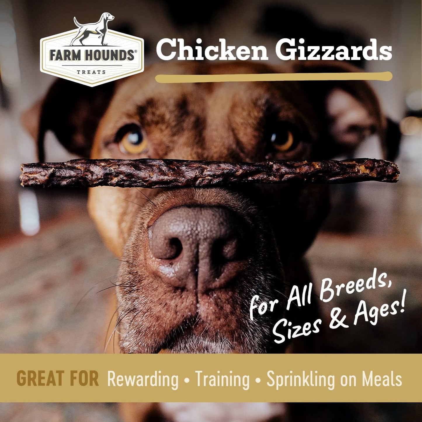 Farm Hounds - Chicken Gizzards - Premium Natural Jerky for Dogs -100% Humanely Raised Chicken - Break-to-Size - Great for Training & Treats - No Added Fillers - Made in USA - 4oz -2 Pack