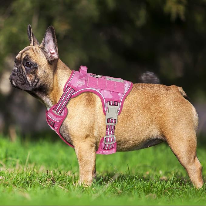 Beebiepet Heavy Duty Tactical Dog Harness for Small Dogs, No Pull Adjustable Pet Harness Reflective Service Training Easy Control Pet Vest Military K9 Working Dog Harnesses- Medium, Pink Camo