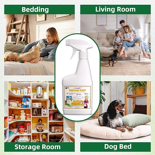 BugPursuit Indoor Pest Control Spray 24oz for Home and Kitchen –Bug Killer & Insect Repellent, Kills Carpet Beetles, Ants, Spiders, Beg Bugs, Roaches, Flea & Tick- Non Staining-Child and Pet Safe