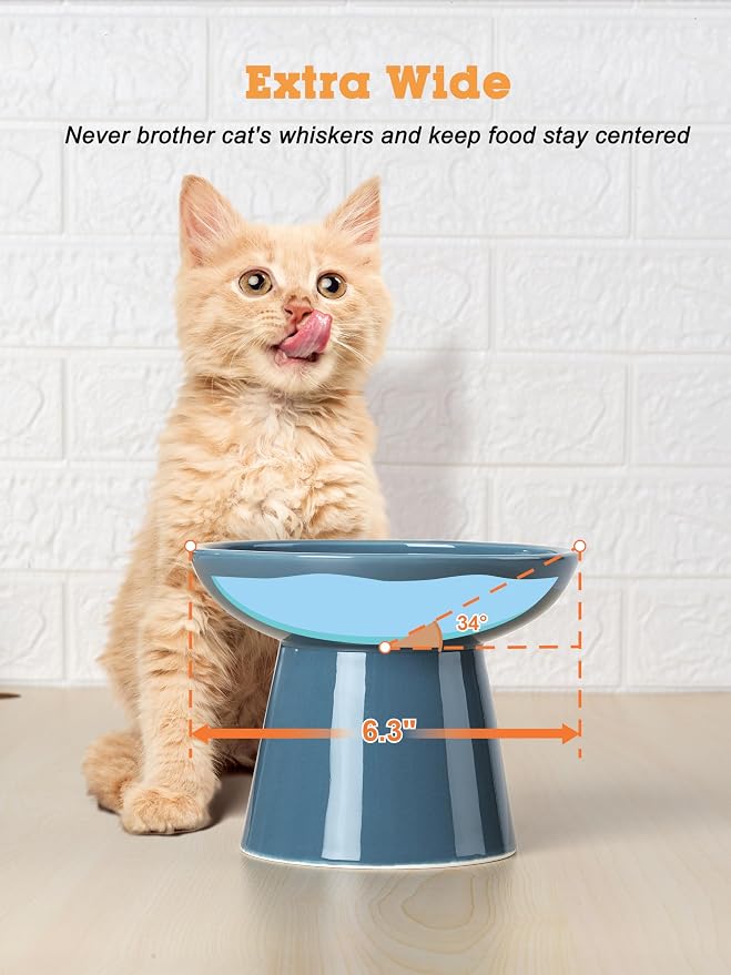 LoeJan Elevated Cat Food and Water Bowls Set, Extra Wide and Raised Ceramic Feeder, Anti-Vomit Whisker-Free Pressure Feeding Bowl for Kittens Adult Small Dogs, Deep Blue