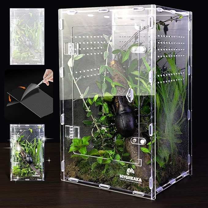 Acrylic Jumping Spider Enclosure - Insect Terrarium for Spiders, Mantises, Tarantulas & Frogs