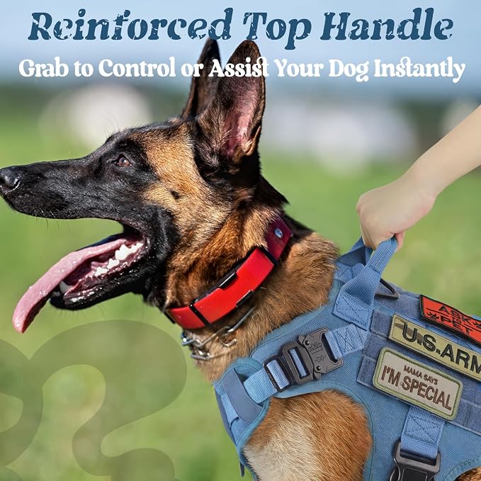 rabbitgoo Tactical Dog Harness for Large, Heavy Duty Military No Pull Vest | Sturdy Metal Buckles, 5 Adjustments, Molle System, Powerful Pullers for Training, Hunting, Outdoor, Blue, Large