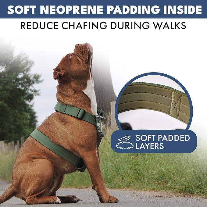 Spark Paws Comfort Control No Pull Dog Harness - Heavy Duty Front Clip | Safety Tested for Strong Breeds, w/ Metal Buckle & Top Handle – Padded Y-Straps Redirect Pulling. Solo or Matching Leash Set