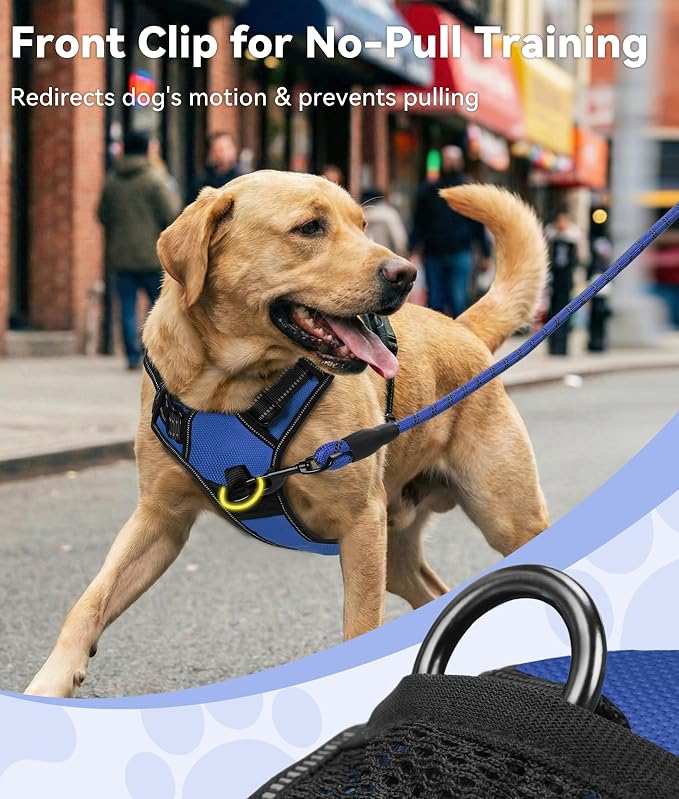 Joytale No Pull Dog Harness Medium Sized Dog, Front Clip, Navy Blue | Grab Handle for Instant Control, Padded & Adjustable Vest, Sturdy Metal D-Rings, for Safe Training & Daily Walking