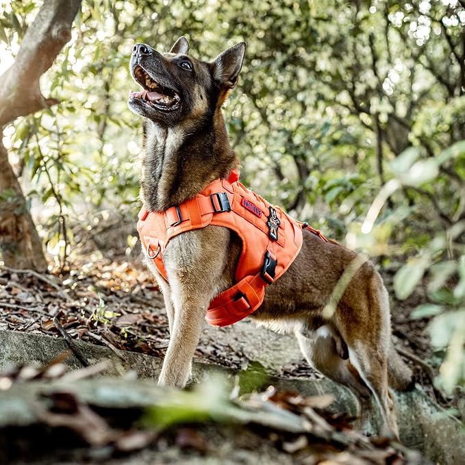 OneTigris Dog Harness Vest with Handle, Military Dog Harness for Large Medium Dogs,FIRE Watcher 2.0 No-Pull Service Dog Vest,Adjustable Dog Vest Harness for Walking Hiking Training(L,Orange)
