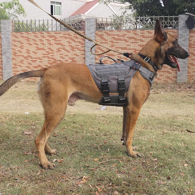 ICEFANG No Pull Tactical Dog Harness for X-Large Dogs,Adjustable Dog Vest | Control Handle,MOLLE Panel,Front Hook,3 Leash Clips,Soft Padded,for walking training,Grey,X-Large