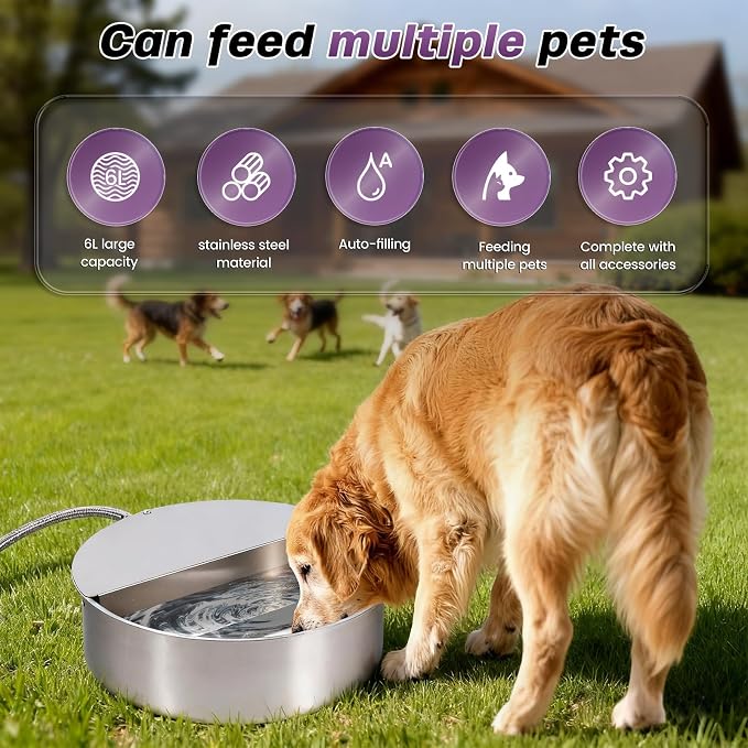 6L Automatic Dog Water Bowl Dispenser Outdoor | Stainless Steel Pet Waterer Self Filling Waterer for Large Dog Cat Chicken Duck Goat