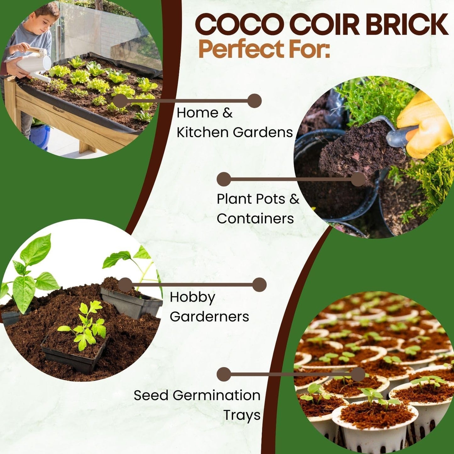 2 Pack Premium Coco Coir Brick for Plants | 100% Organic Compressed Coconut Coir Bricks Starting Mix, Coco Coir Fiber Coconut Husk for Planting, Gardening, Potting Soil Substrate, Herbs, 1.4 LB/Brick