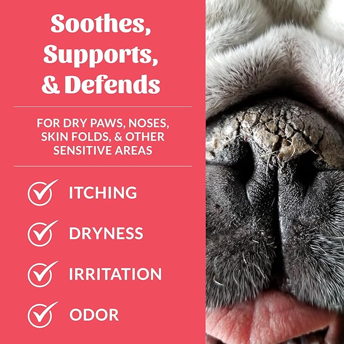 SKOUT'S HONOR Prebiotic Pet Balm - 100% Natural and Made w/Manuka Honey to Promote Healing of Your pet's paw Pads and Nose, Soothes Dry, Itchy Paws and Noses - Safe for Cats and Dogs, 0.7 oz, 6-Pack
