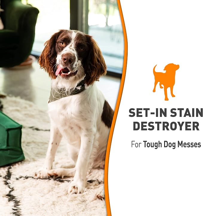 Nature’s Miracle Set-In Stain Destroyer Dog, 32 Ounces, Oxy Formula With Orange Scent