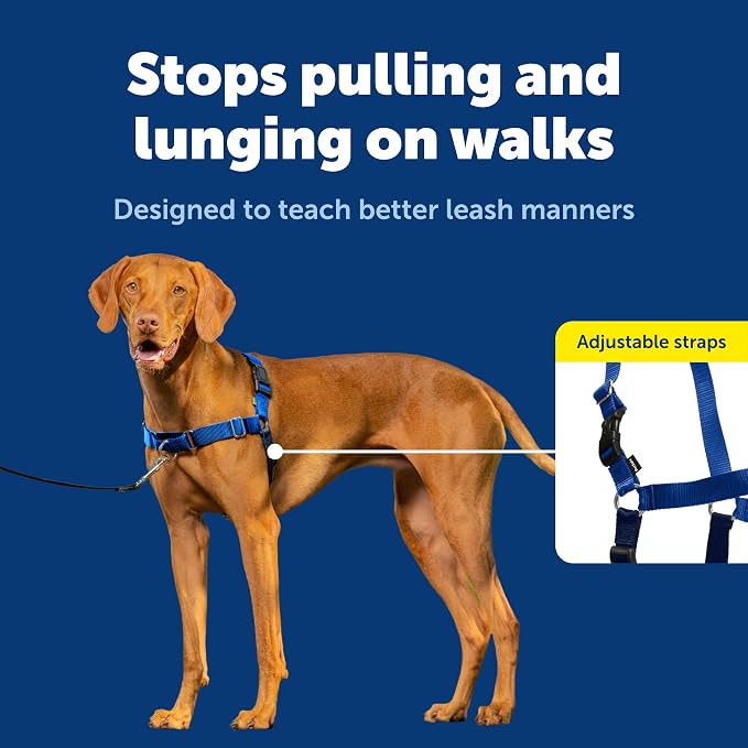 PetSafe Easy Walk Harness, No Pull Dog Harness, Royal Blue, Medium | Patented Martingale Loop Gives Gradual Shoulder Pressure to Stop Pulling, Front-Chest Leash Clip Prevents Gagging