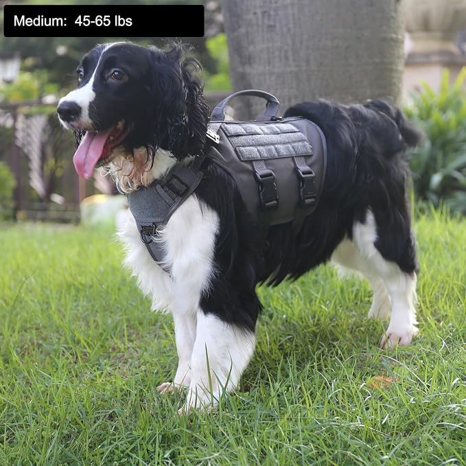 ICEFANG No Pull Tactical Dog Harness for Medium Dogs,Adjustable Dog Vest | Control Handle,MOLLE Panel,Front Hook,3 Leash Clips,Soft Padded,for walking training,Grey,Medium