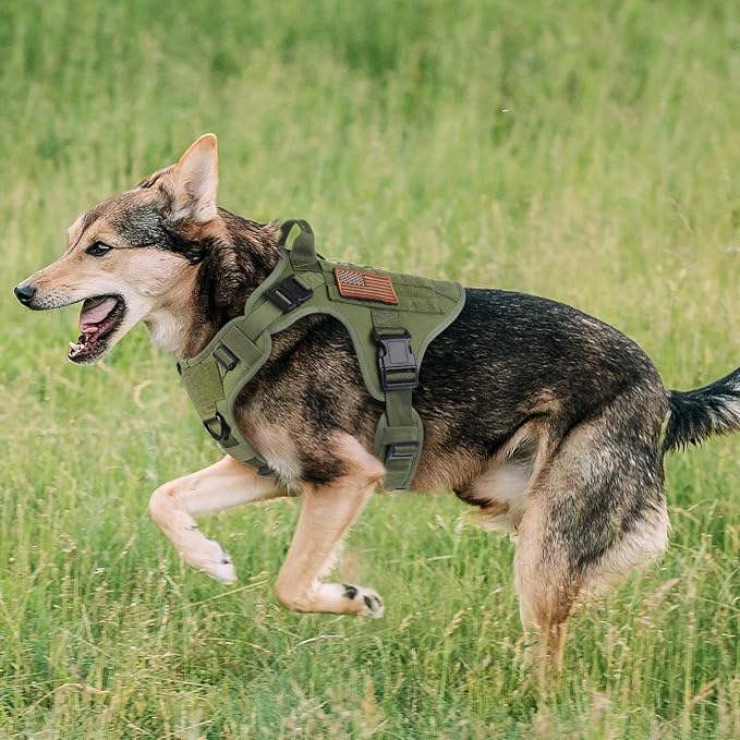 rabbitgoo Tactical Dog Harness for Medium, Heavy Duty Military No Pull Vest | Sturdy Metal Buckles, 5 Adjustments, Molle System, Powerful Pullers for Training, Hunting, Outdoor, Green, Medium