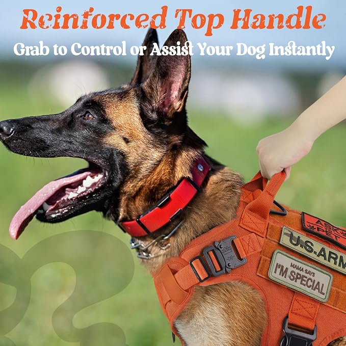 rabbitgoo Tactical Dog Harness for Medium, Heavy Duty Military No Pull Vest | Sturdy Metal Buckles, 5 Adjustments, Molle System, Powerful Pullers for Training, Hunting, Outdoor, Orange, Medium