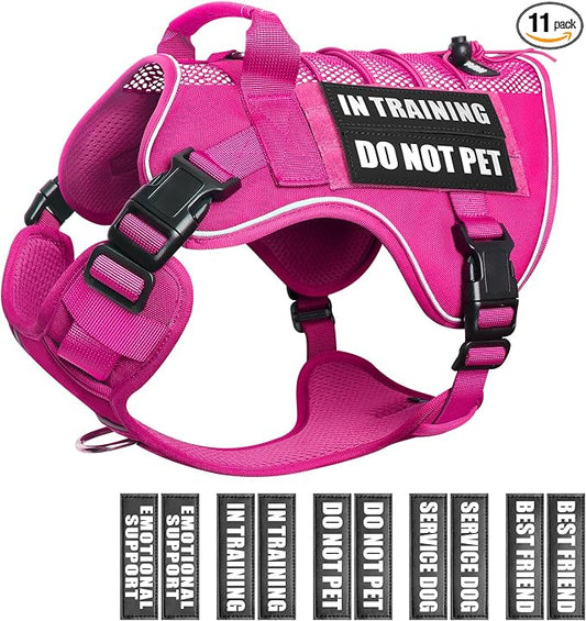 Service Dog in Training Mesh Harness with 10 Removale Pet Patches | Breathable material, adjustable straps, reflective trim, lightweight but durable, great for training, walks, and outings