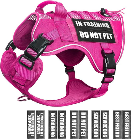 Service Dog in Training Mesh Harness with 10 Removale Pet Patches | Breathable material, adjustable straps, reflective trim, lightweight but durable, great for training, walks, and outings