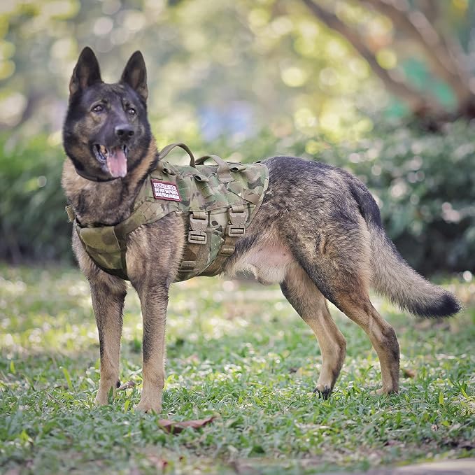 Tactical Dog Harness K9 Dog Training Vest Adjustable Padded Police Service Dog Working MOLLE Vests for Large Medium Dogs Mals GSD Lab… …