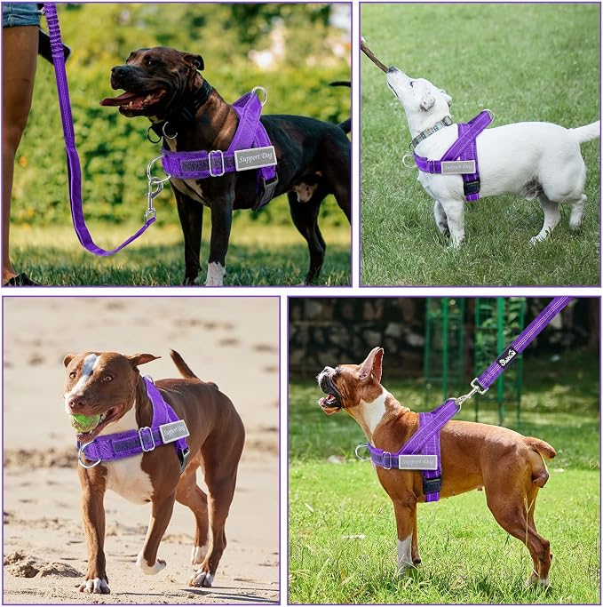 SlowTon No Pull Dog Harness with Front Clip - Heavy Duty, Soft Padded | Neck & Chest Adjustable, Tactical Pet Vest and Leash Set for Large Medium Sized Dogs, for Easy Walk & Training, Purple L