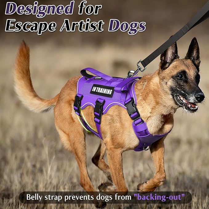 Escape Proof Dog Harness with Double Handle+4 Removable Patches | Service Working Molle Harness with Double Handle for Large Dogs, Tactical Pet Reflective Vest for Walking Hiking Hunting