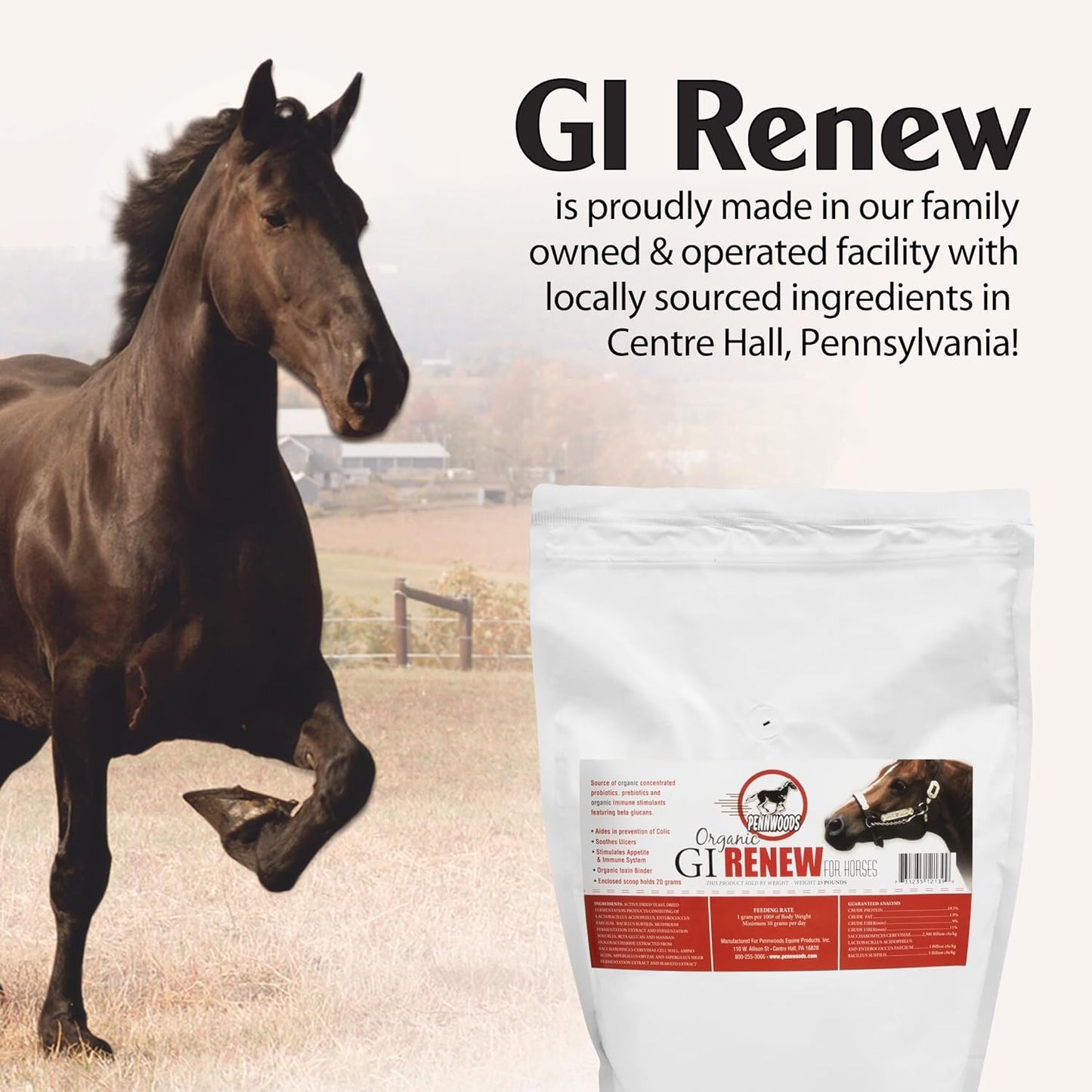 GI Renew, Probiotics for Equine, Immune and Appetite Stimulation, Prebiotics, Digestive Enzymes | Horse Supplement Providing Ulcer Relief and Organic Toxin Binder, 5 LB Pouch