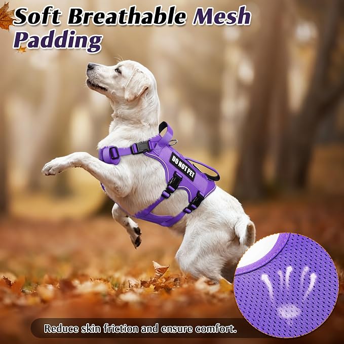 Escape Proof Dog Harness with Double Handle+4 Removable Patches | Service Working Molle Harness with Double Handle for Medium Dogs, Tactical Pet Reflective Vest for Walking Hiking Hunting