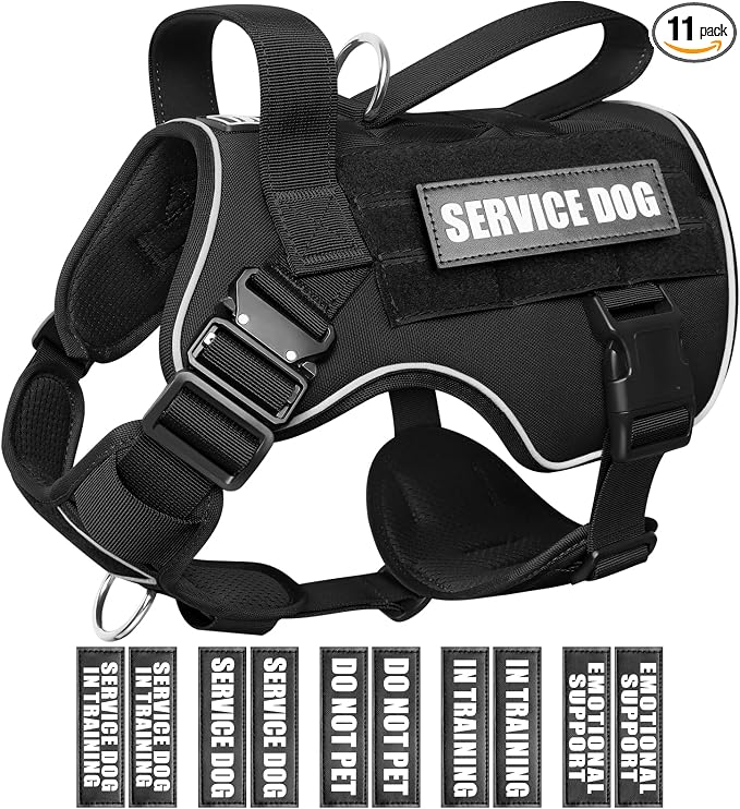 2X Metal Buckle Service Working MOLLE Dog Vest with 10 Pet Patches | Tactical Dog Harness for Large Dog, No-pull Military Working Vest for Training Hunting Walking，2x D Rings for Leash Clip