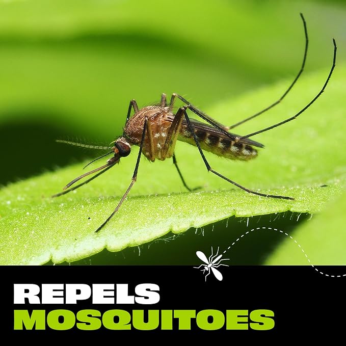 STEM Mosquito and Tick Repellent Wipes with Botanical Extracts - 10 Wipes