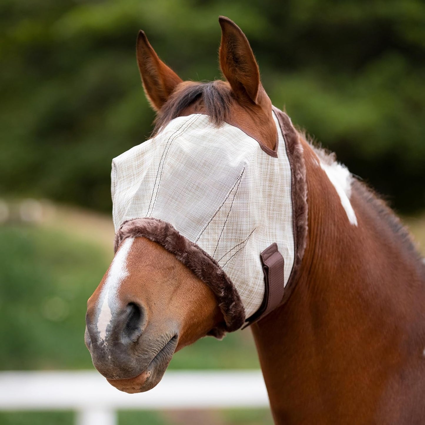 Kensington Fly Mask with Fleece Trim for Horses — Protects Face and Eyes from Flies and Sun Rays While Allowing Full Visibility — Breathable and Non Heat Transferring, X-Large, Tan