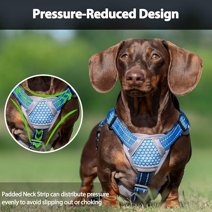 Escape Proof Dog Harness, Dachshund Harness, Reflective Dog Harness with Handle, Durable,Adjustable Vest for Small Medium Large Dogs Walking, Training, and Running Gear (Sea Blue,L)