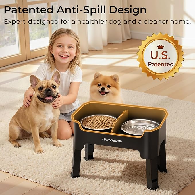 URPOWER Mess Proof Elevated Dog Bowls, Splash Guard Raised Bowl Stand | 4 Adjustable Heights, 2 Stainless Steel Bowls, Food & Water Separation, Non-Slip Base, Foldable Design for Small Dogs