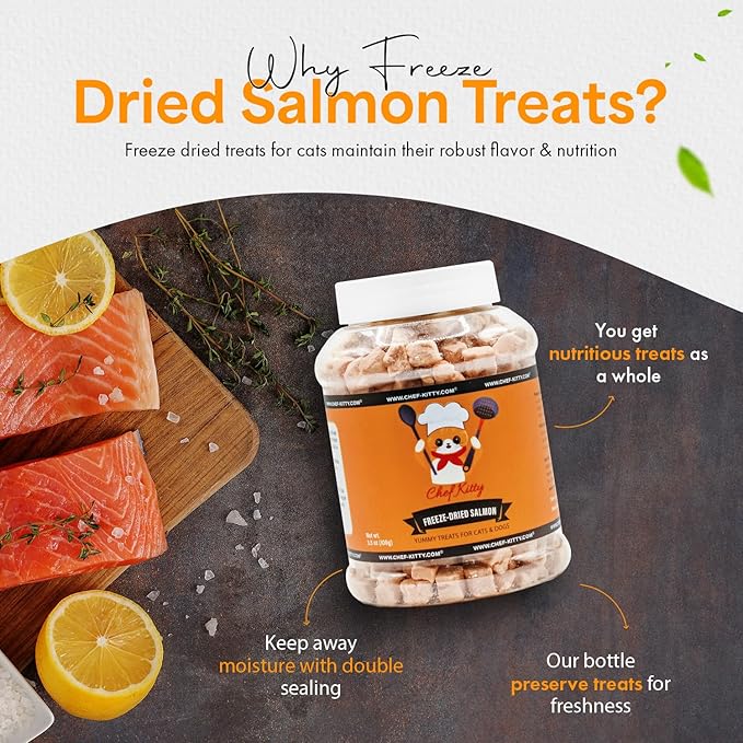 Freeze Dried Salmon Cat Treats | 100% Wild Caught Salmon Dog Treats, Grain- Free | High Protein, Single Ingredient Cat & Dog Food Toppers | No Additives or Preservatives | Tested in USA | 2.6 oz