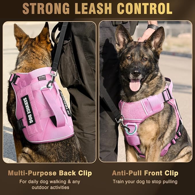 2X Metal Buckle Service Working MOLLE Dog Vest with 10 Pet Patches | Tactical Dog Harness for Medium Dog, No-pull Military Working Vest for Training Hunting Walking，2x D Rings for Leash Clip