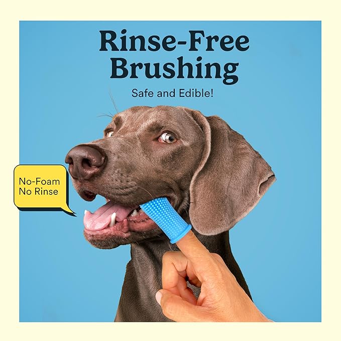 Jasper Dog Toothpaste Double Enzymatic Pack of 2 - Plaque Remover for Teeth, Whitens Teeth, Imporves Bad Breath Natural Pet Toothpaste, Bacon Flavor 3.5oz