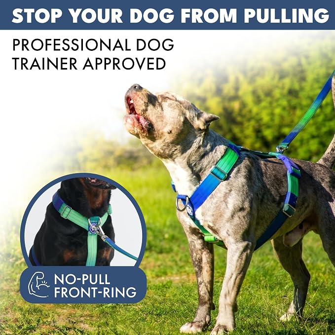 Spark Paws Comfort Control No Pull Dog Harness - Heavy Duty Front Clip | Safety Tested for Strong Breeds, w/ Metal Buckle & Top Handle – Padded Y-Straps Redirect Pulling. Solo or Matching Leash Set