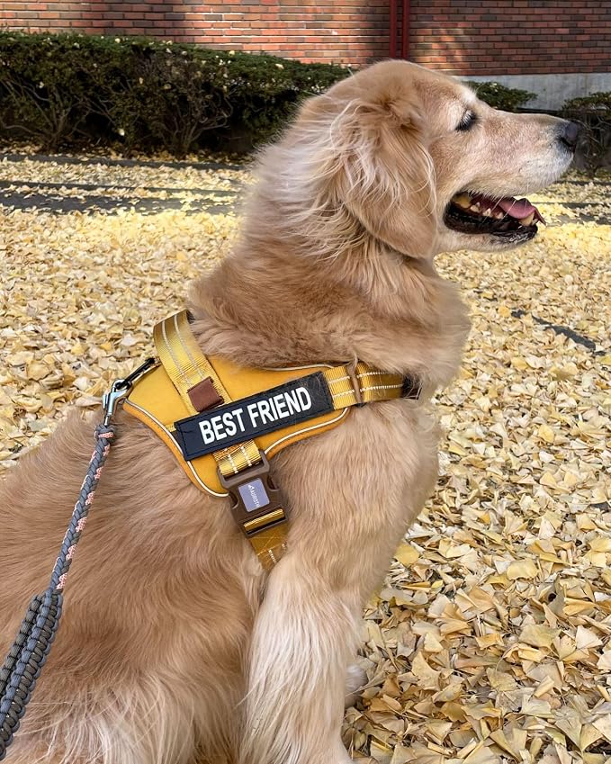 AUROTH Dog Harness and Leash Set for Large Sized Dog, No Pull Dog Vest | with Leash Clips, LED light clip, Soft Padded No Choke, Escape Proof, Easy Walking and Training, Turmeric-, XL
