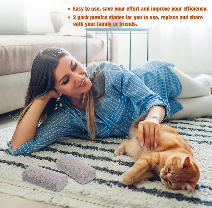 Xuniea 2 Pieces Pet Hair Remover for Cat Hair Removal Pumice Stone Tool Carpet Dog Fur Removal Tool for Car Couch Furniture Bedding Easy to Clean (4 Inches)